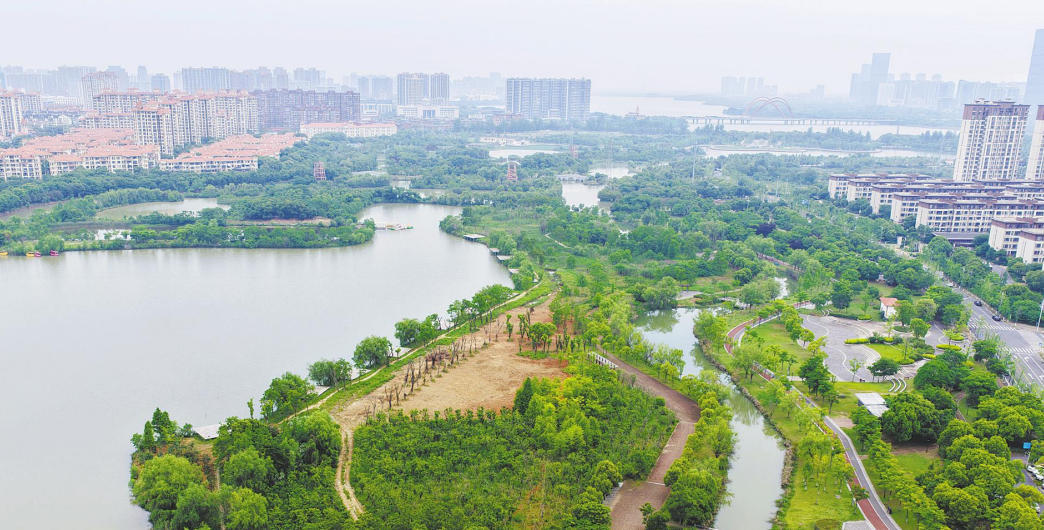 南昌寰宇万象湿地公园满目苍翠 景色怡人（图）