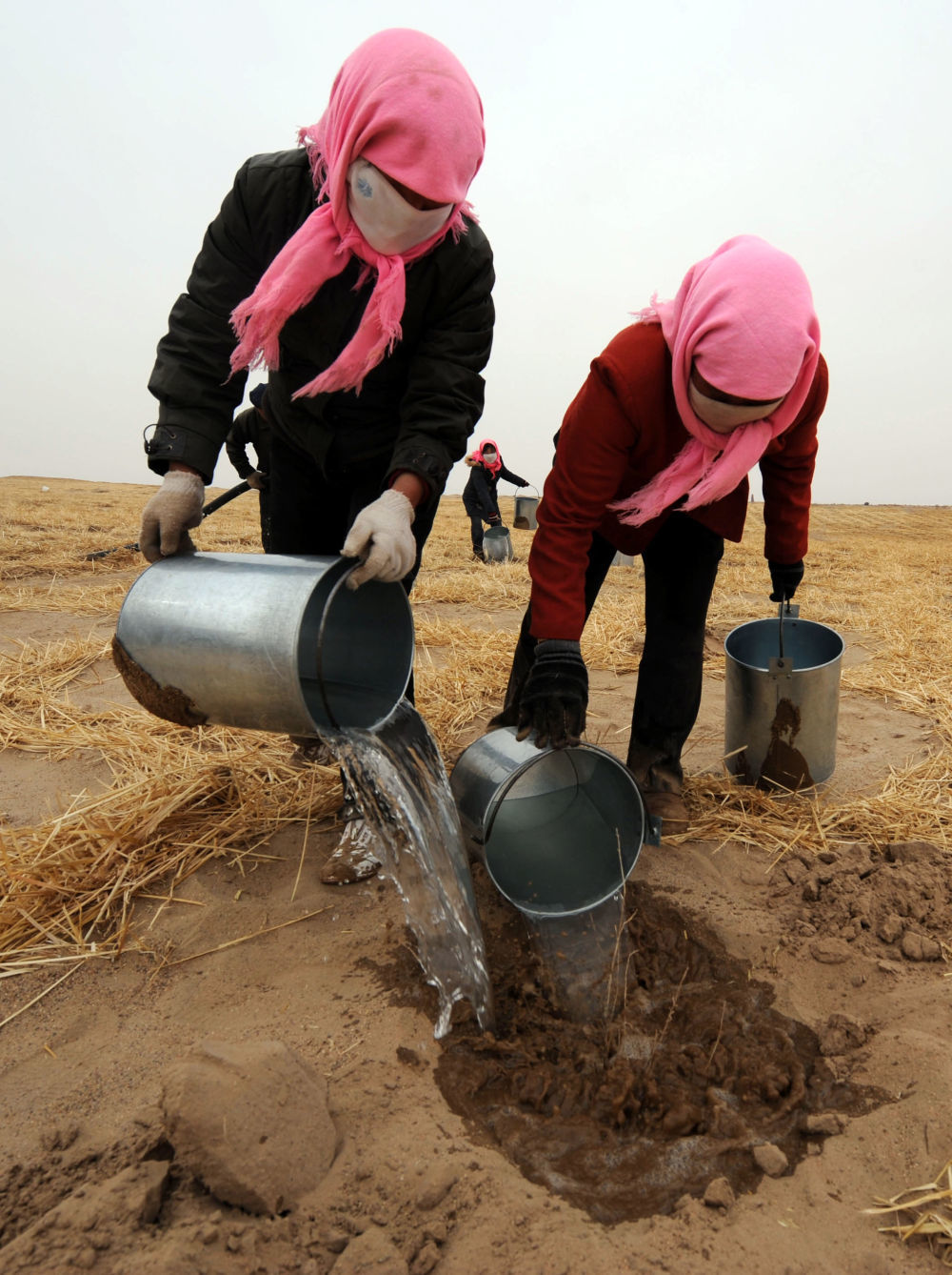 2009年3月12日，民勤县西渠镇的群众在青土湖风沙前沿为栽种的抗旱苗木浇水。新华社记者　韩传号　摄