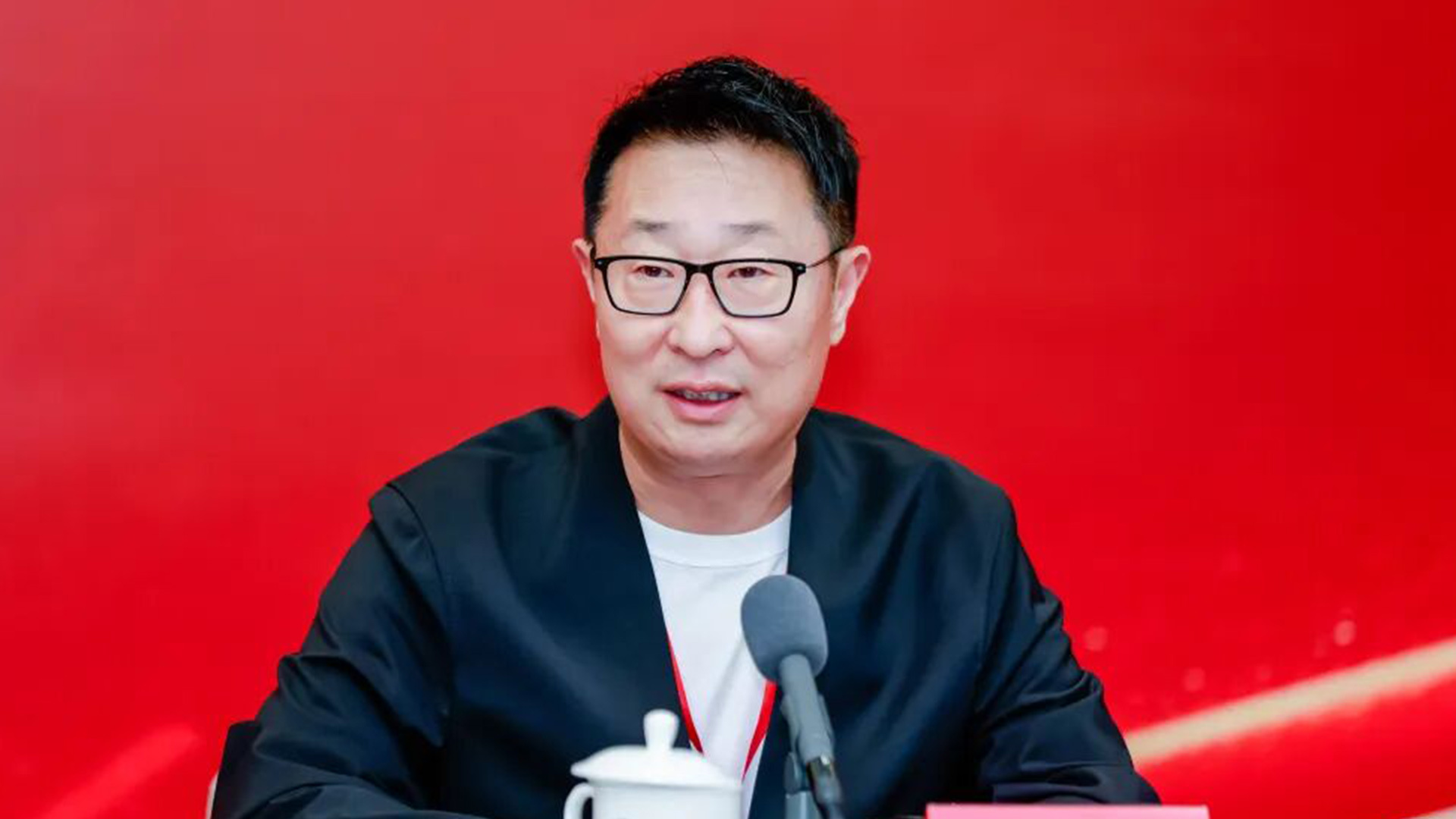 林永健当选中国视协双新委员会会长，李乃文、杨幂、佟丽娅、宋佳、梅婷等当选副会长