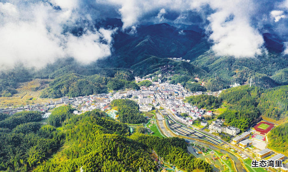 生态湾里