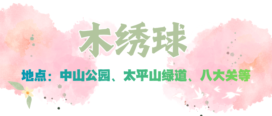 赏花季 (5).png