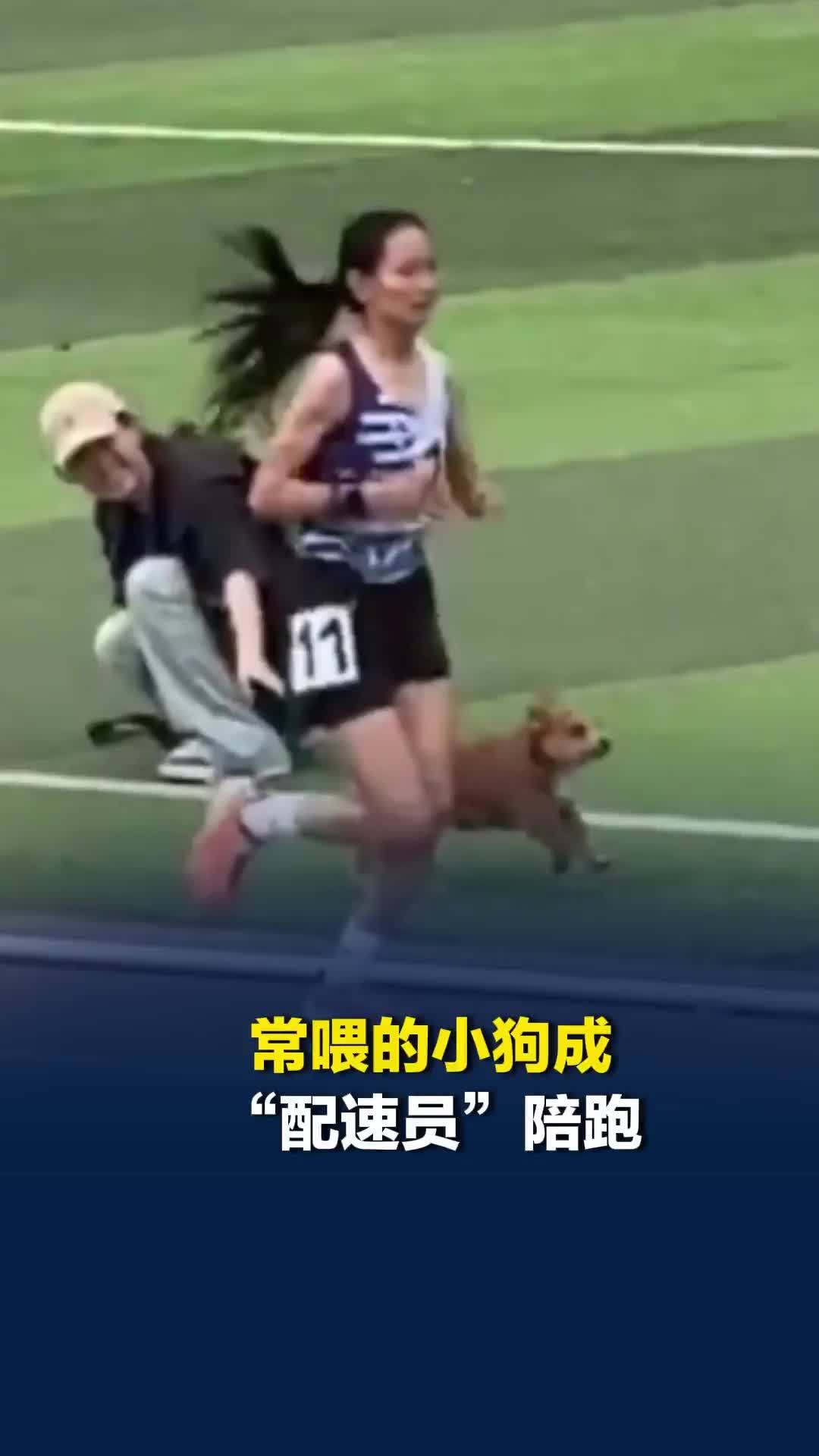 常喂的小狗成“配速员”陪跑，女孩夺冠，打破校运会3000米纪录