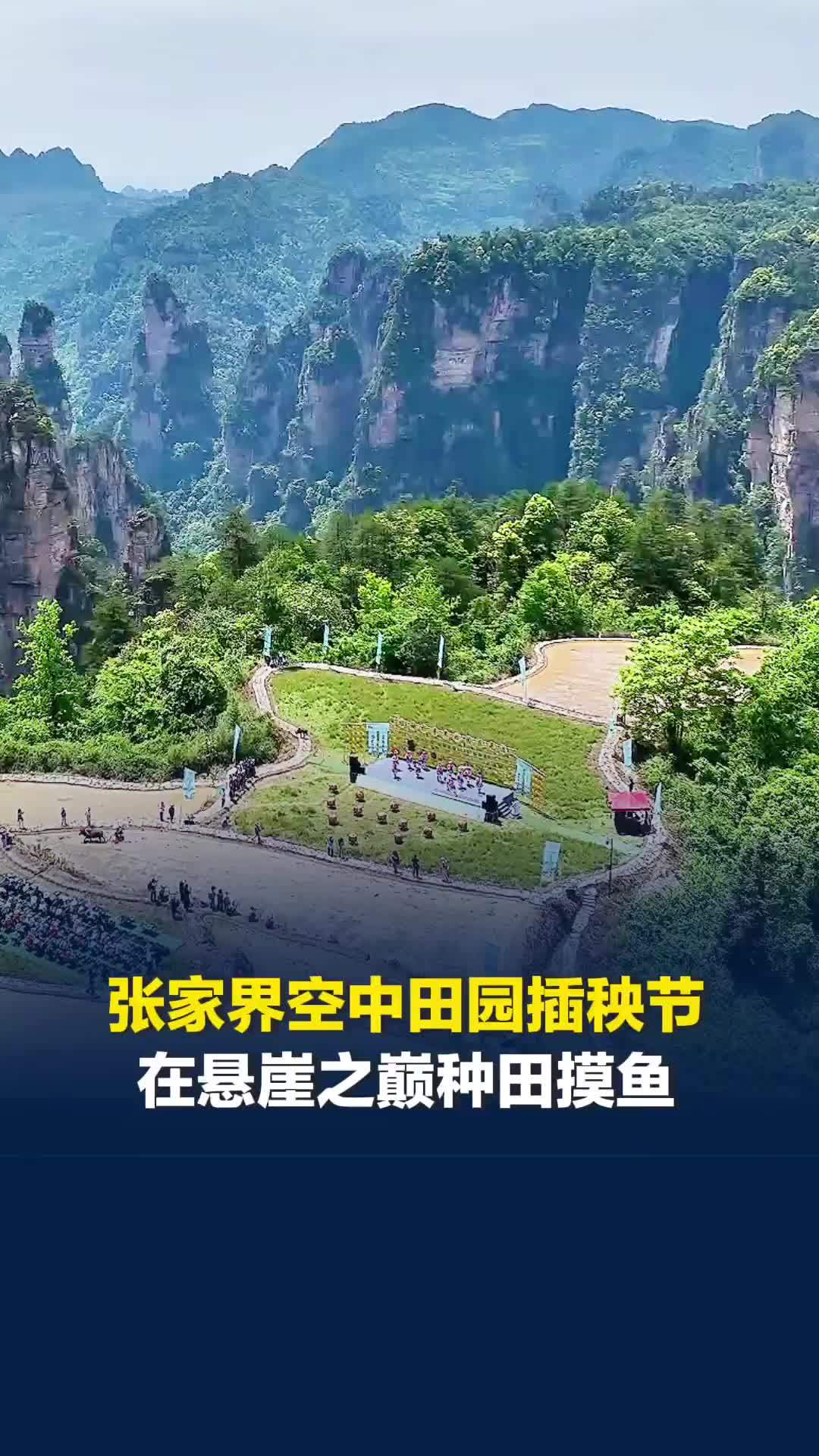 在悬崖之巅种田摸鱼！张家界空中田园·仙境家园2026插秧节启幕