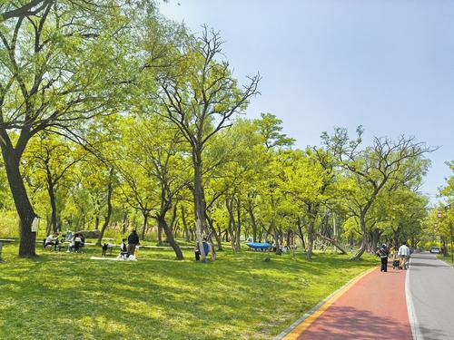 4月23日，人们在邯郸市复兴区沁河郊野公园露营野餐。本报记者 周聪聪摄