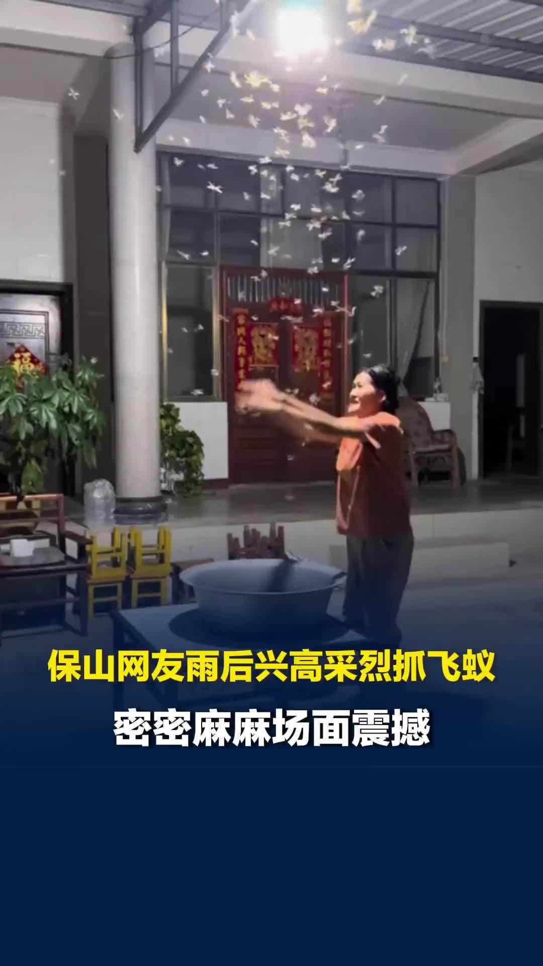 还有什么是云南人不敢吃的！保山网友雨后兴高采烈抓飞蚁，密密麻麻场面震撼