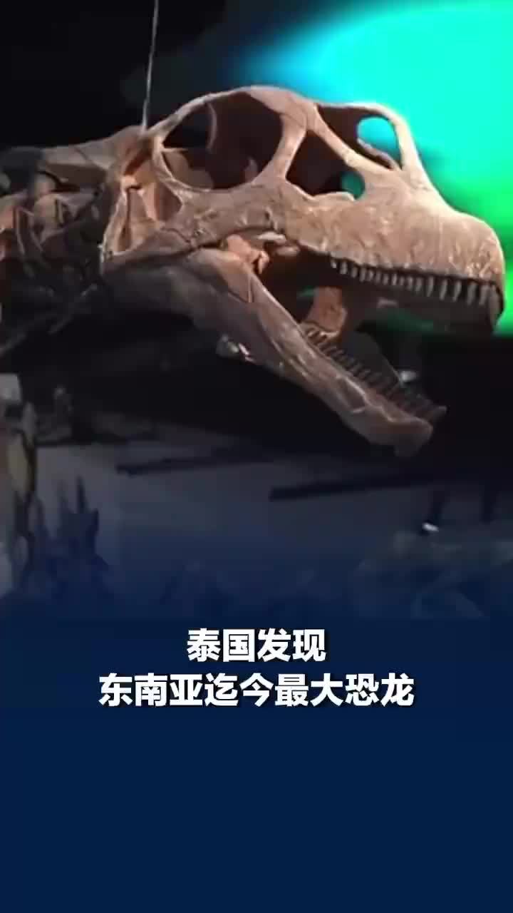泰国发现东南亚迄今最大恐龙