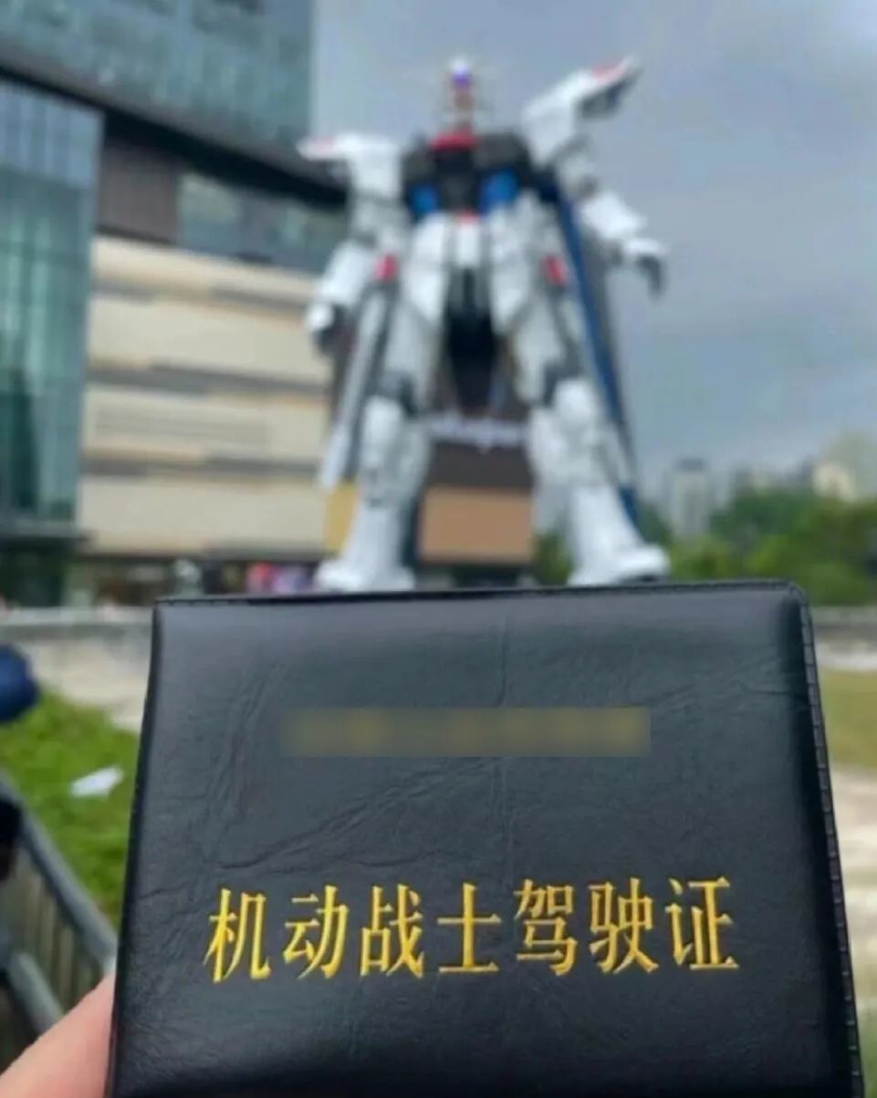 国产载人变形机甲发布,全国网友兴奋炸了