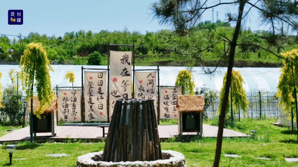 “香”约甘肃灵台栖居山野营地　品茶撸串尽享夏日惬意