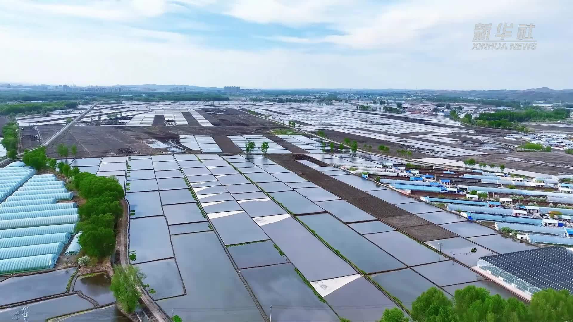 瞰中国｜内蒙古：水田开播正当时