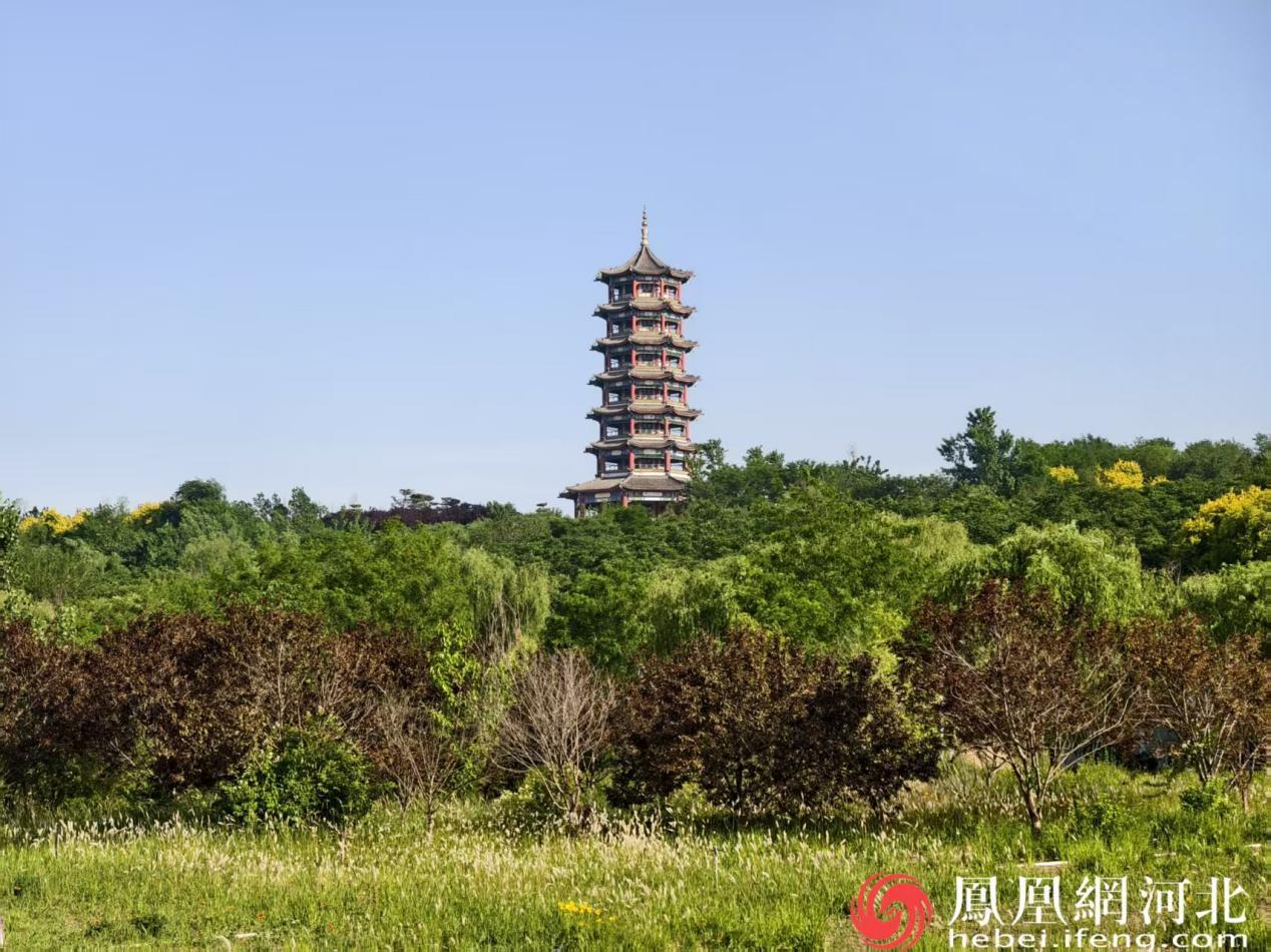 揽秀塔巍然矗立于初夏绿意之中