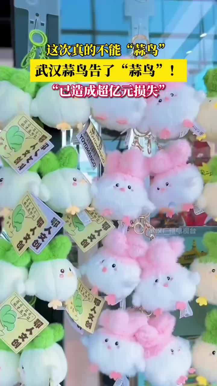 武汉蒜鸟告了蒜鸟称损失超亿元