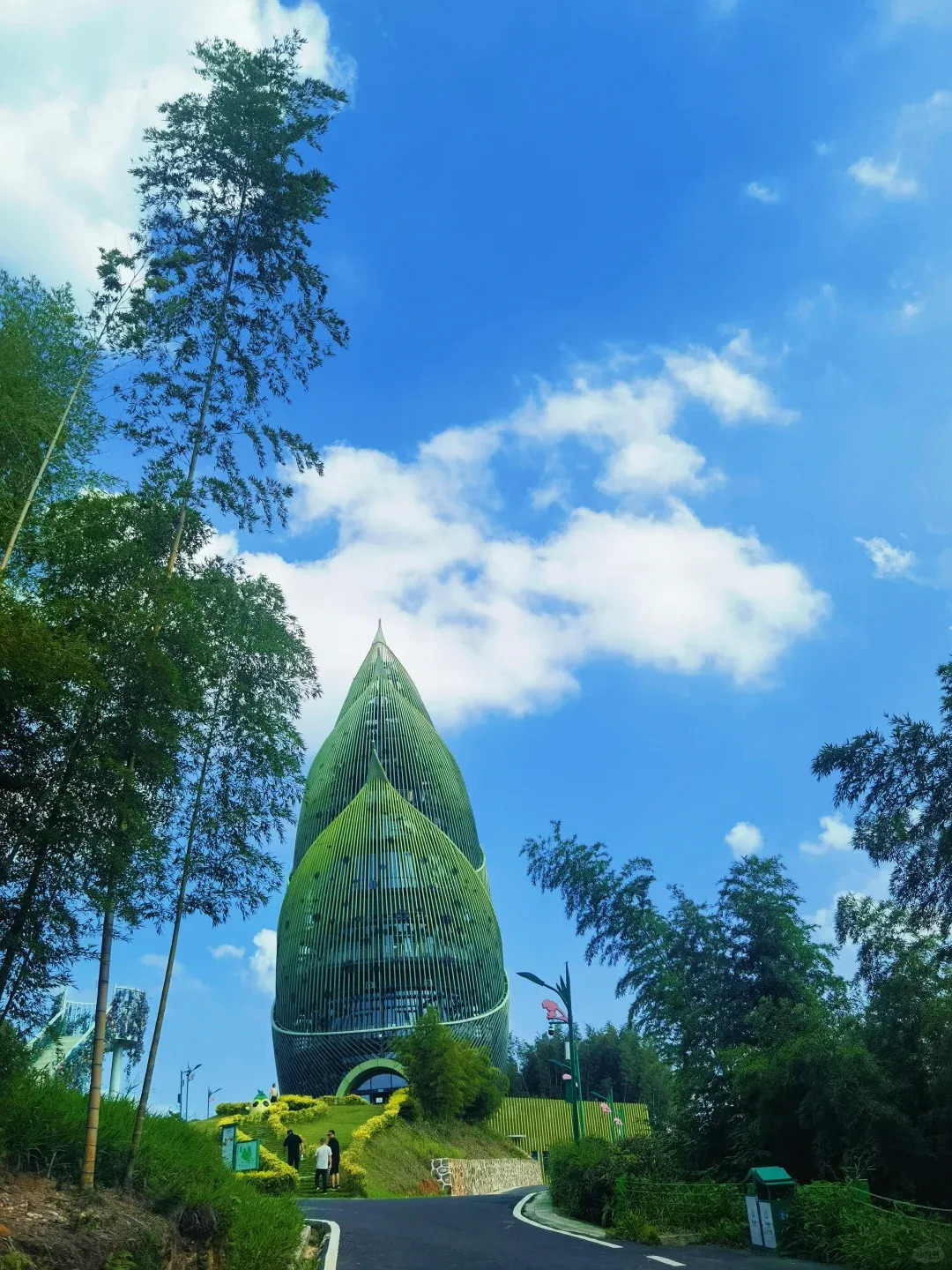 桃花江竹海景区。图/小红书@十一月曙