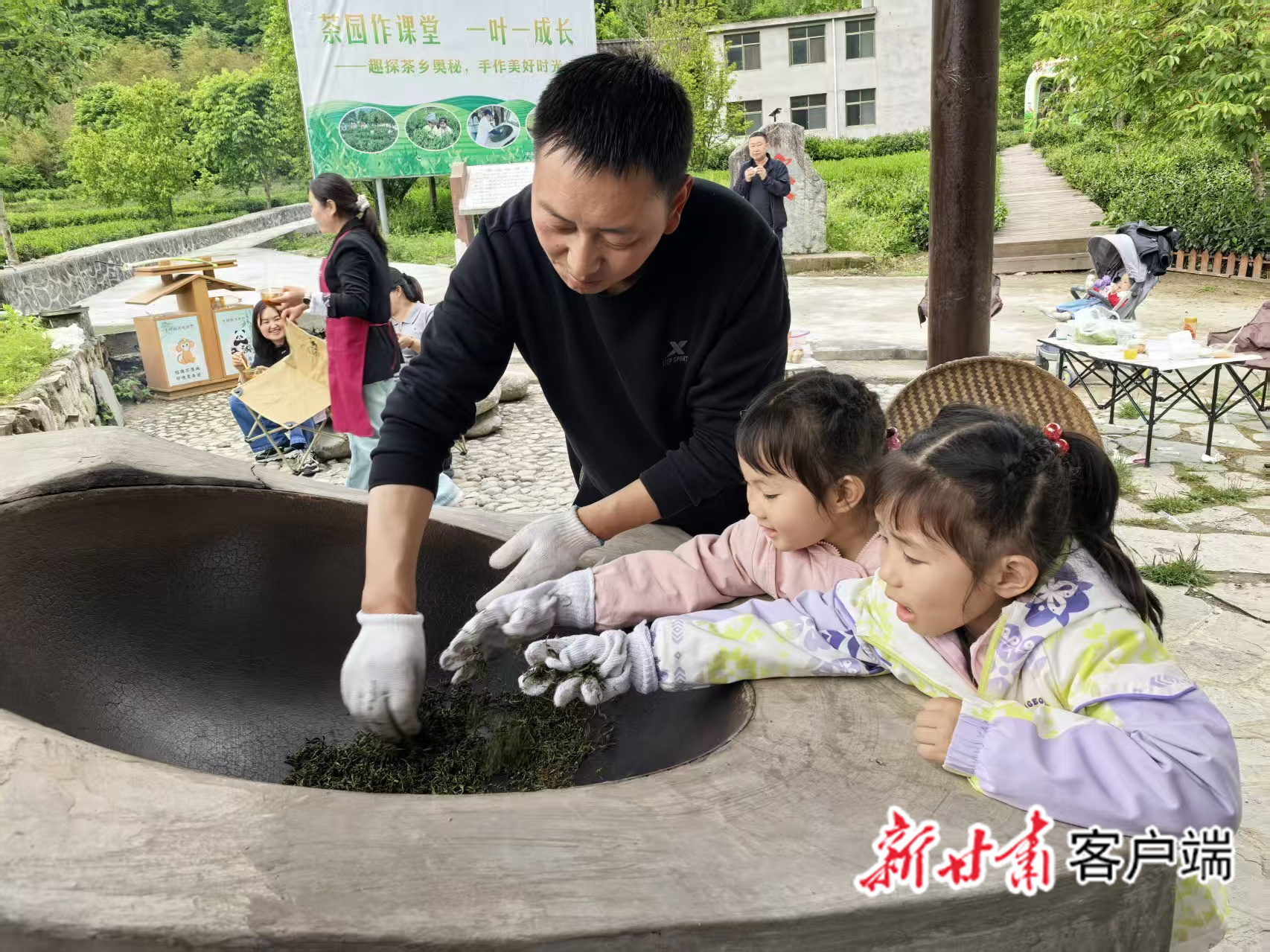 游客体验炒茶工艺