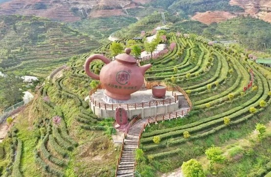 看完球赛直接度蜜月?江门你是懂浪漫的