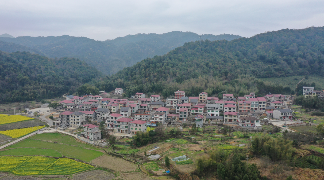 景德镇浮梁县：让“沉睡资产”变为“致富阵地”