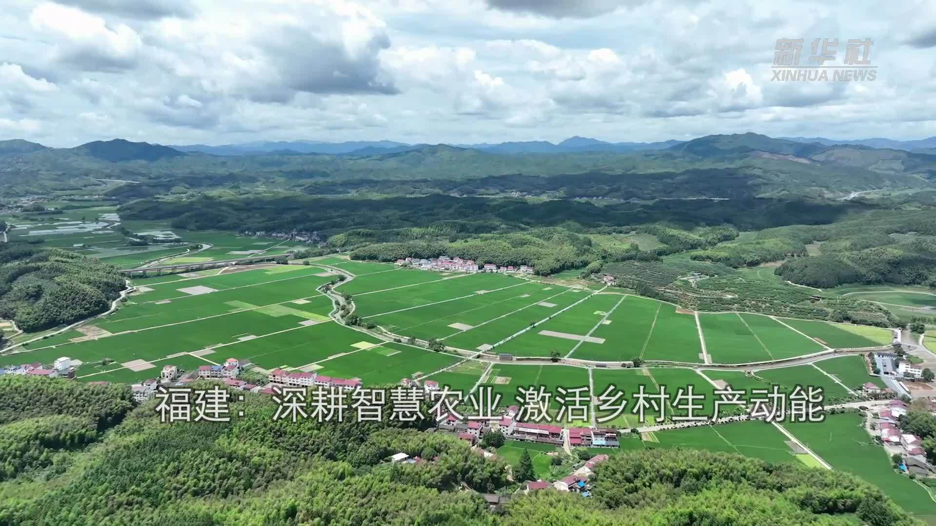 福建：深耕智慧农业 激活乡村生产动能