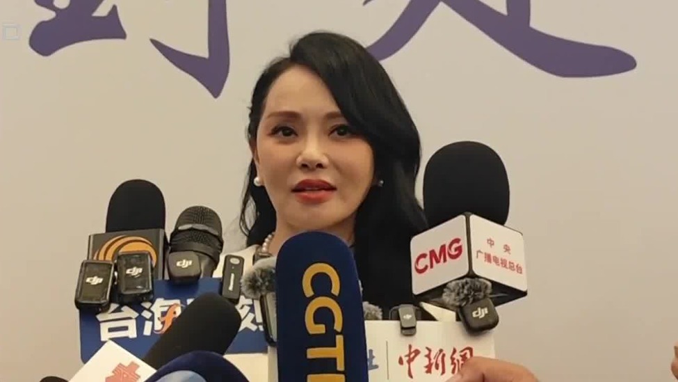 伊能静：不仅要有顶峰相见，也要通过民间淳朴交流让两岸一家亲