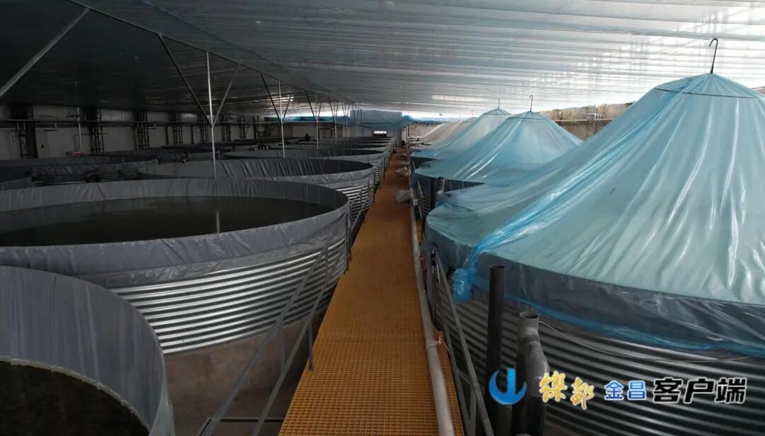 △南美白对虾精品海水养殖基地一号养殖大棚（资料图）