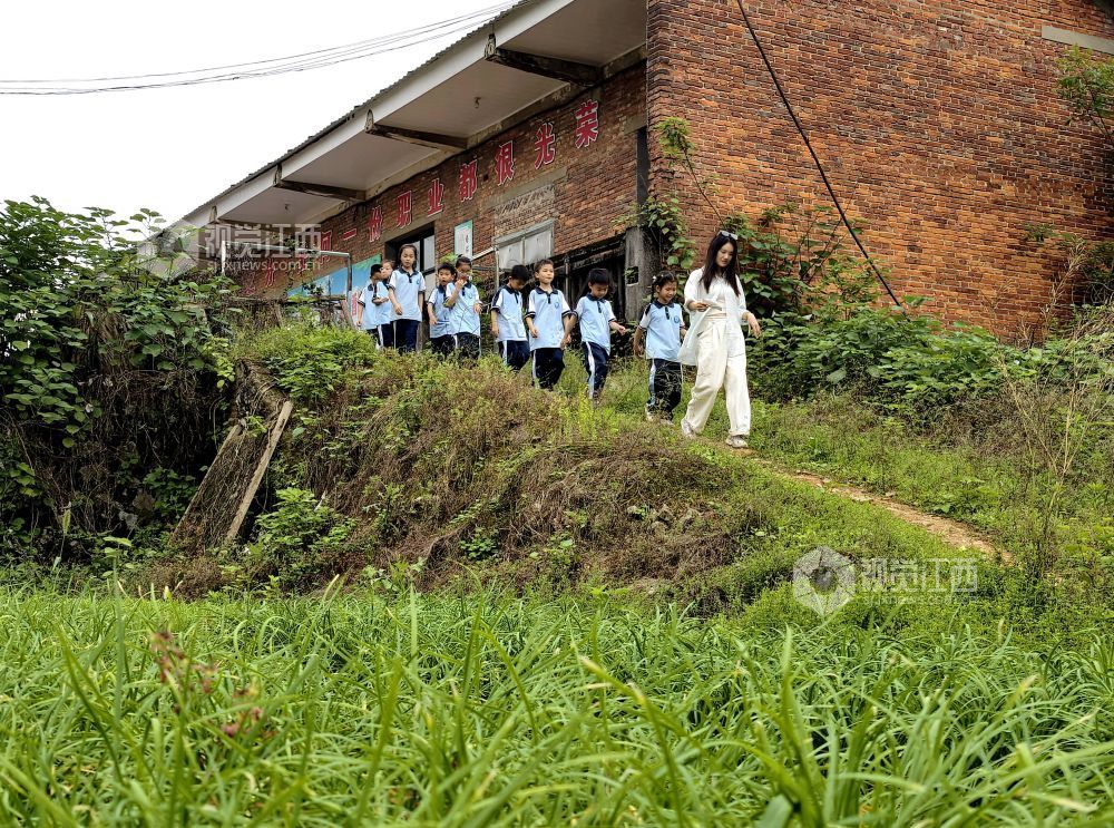 江西分宜：在田间地头赋予劳动教育新活力（图）