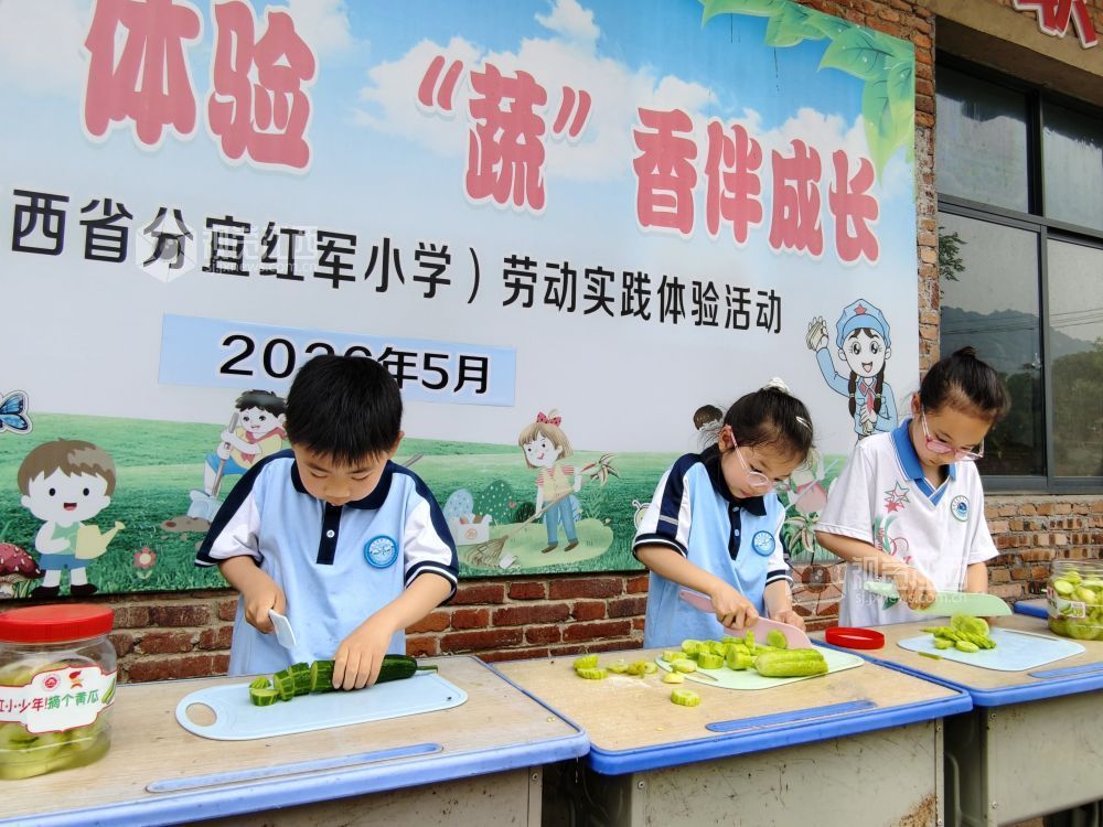 江西分宜：在田间地头赋予劳动教育新活力（图）