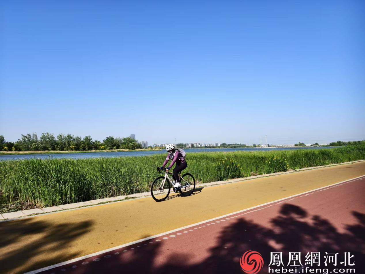 骑行爱好者在滹沱河绿道骑行健身
