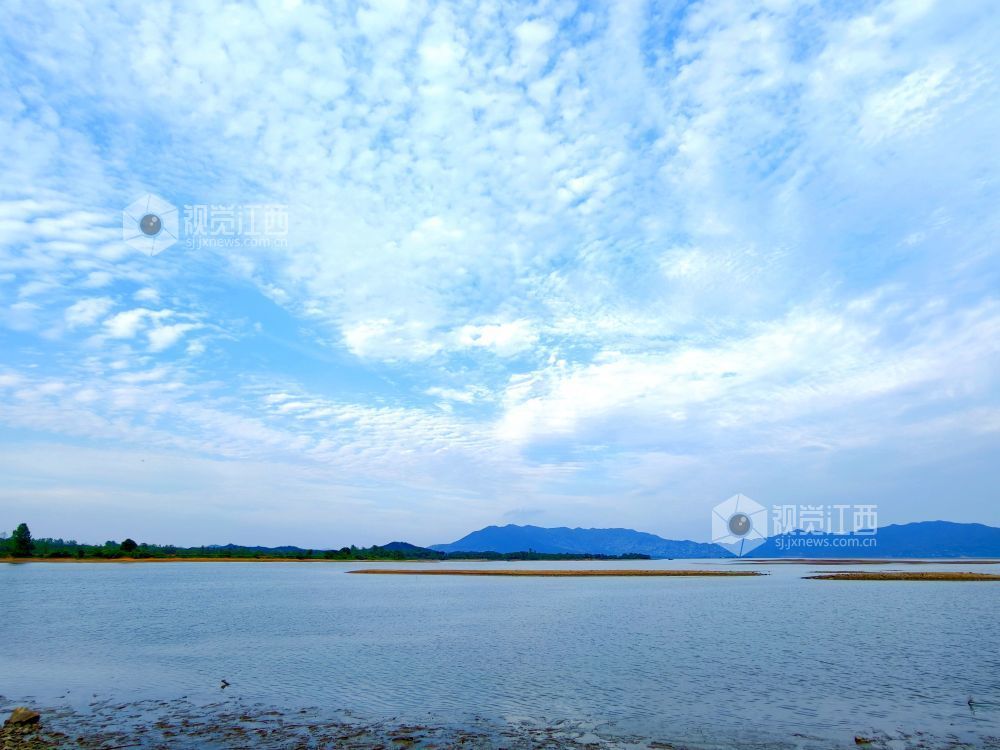 江西分宜:退水露浅滩 湖山入画来(图)