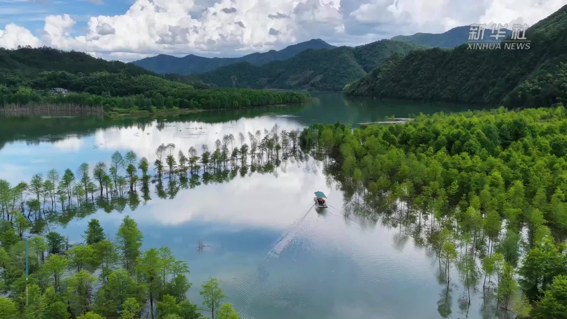 泛舟碧水杉林间 乐享初夏好时光