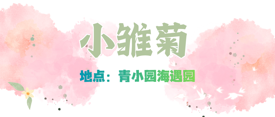 赏花季 (7).png