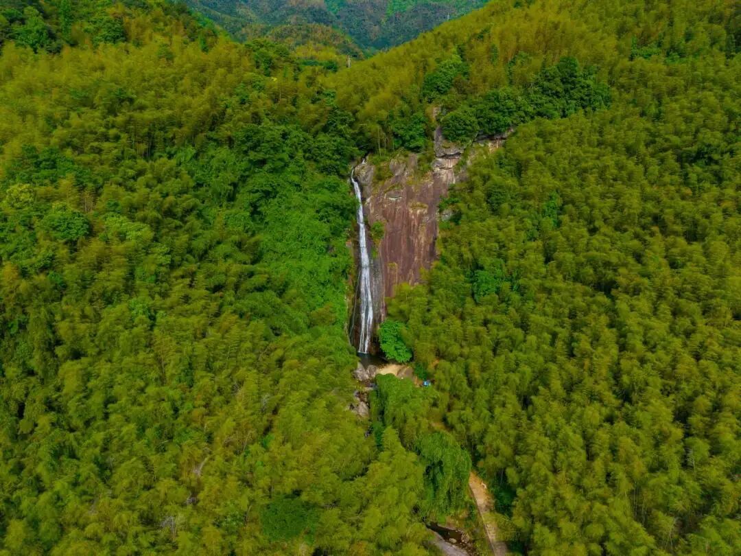 DJI_20260427131804_0127_D(1).jpg