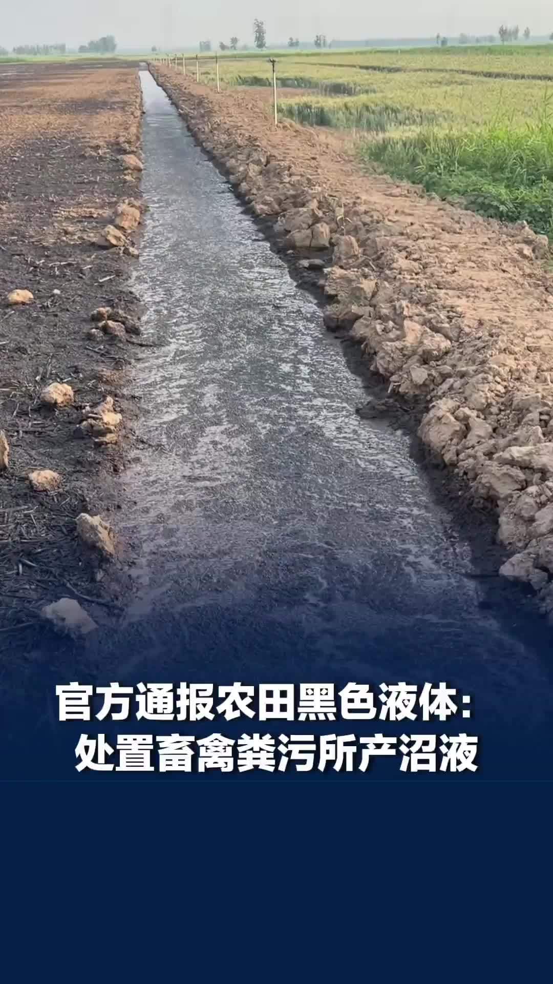 山东菏泽一地乱排污？实景地图可见农田发黑，官方通报：为处置畜禽粪污产生的沼液