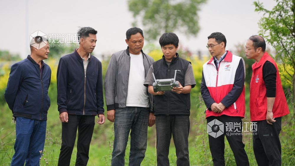 江西永丰：统防统治护航早稻分蘖（图）