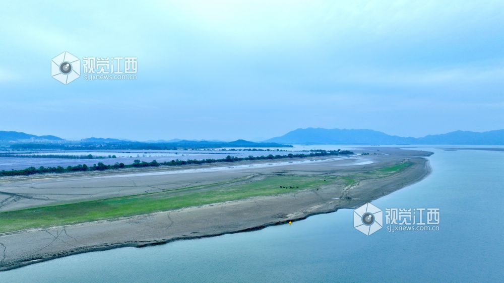 江西分宜:退水露浅滩 湖山入画来(图)