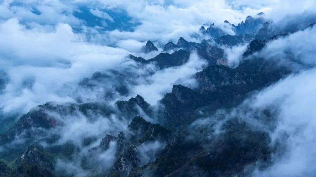 品质旅程 惠游神都！2026年“5&middot;19中国旅游日”倒计时活动洛阳开启