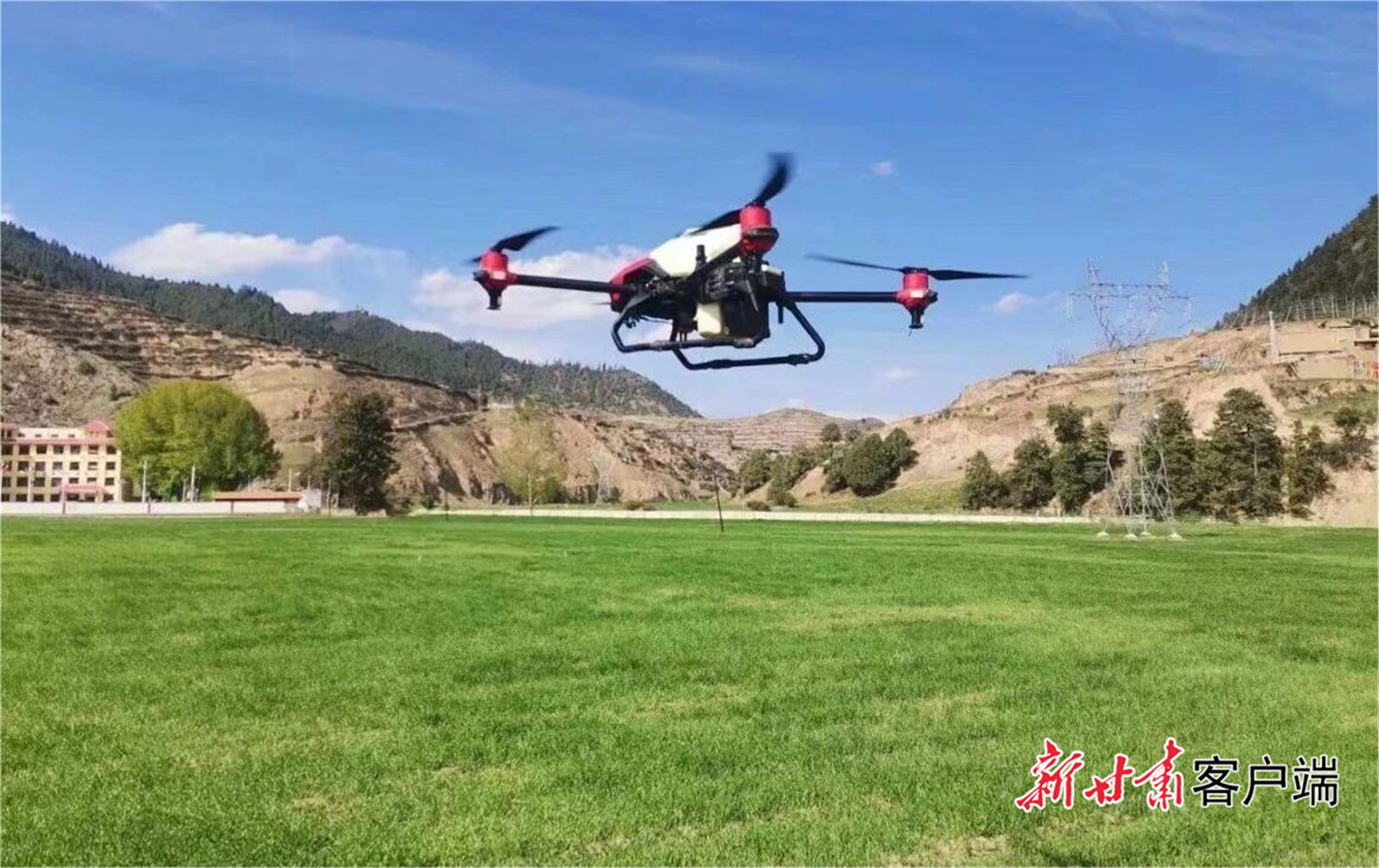 无人机在青稞地里喷洒农药　新甘肃&middot;甘肃日报通讯员高淑兰摄