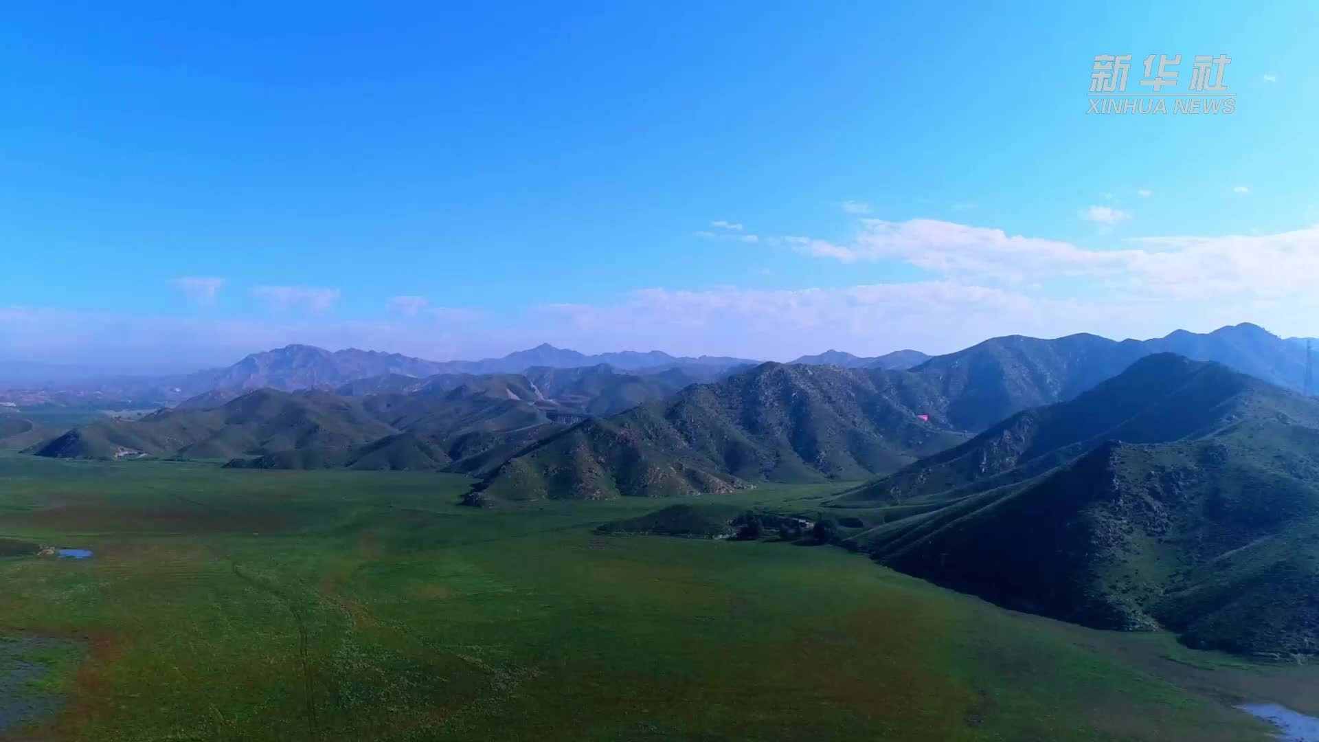 瞰中国｜内蒙古：“鸟中大熊猫”黑鹳“安家”昆都仑河湿地