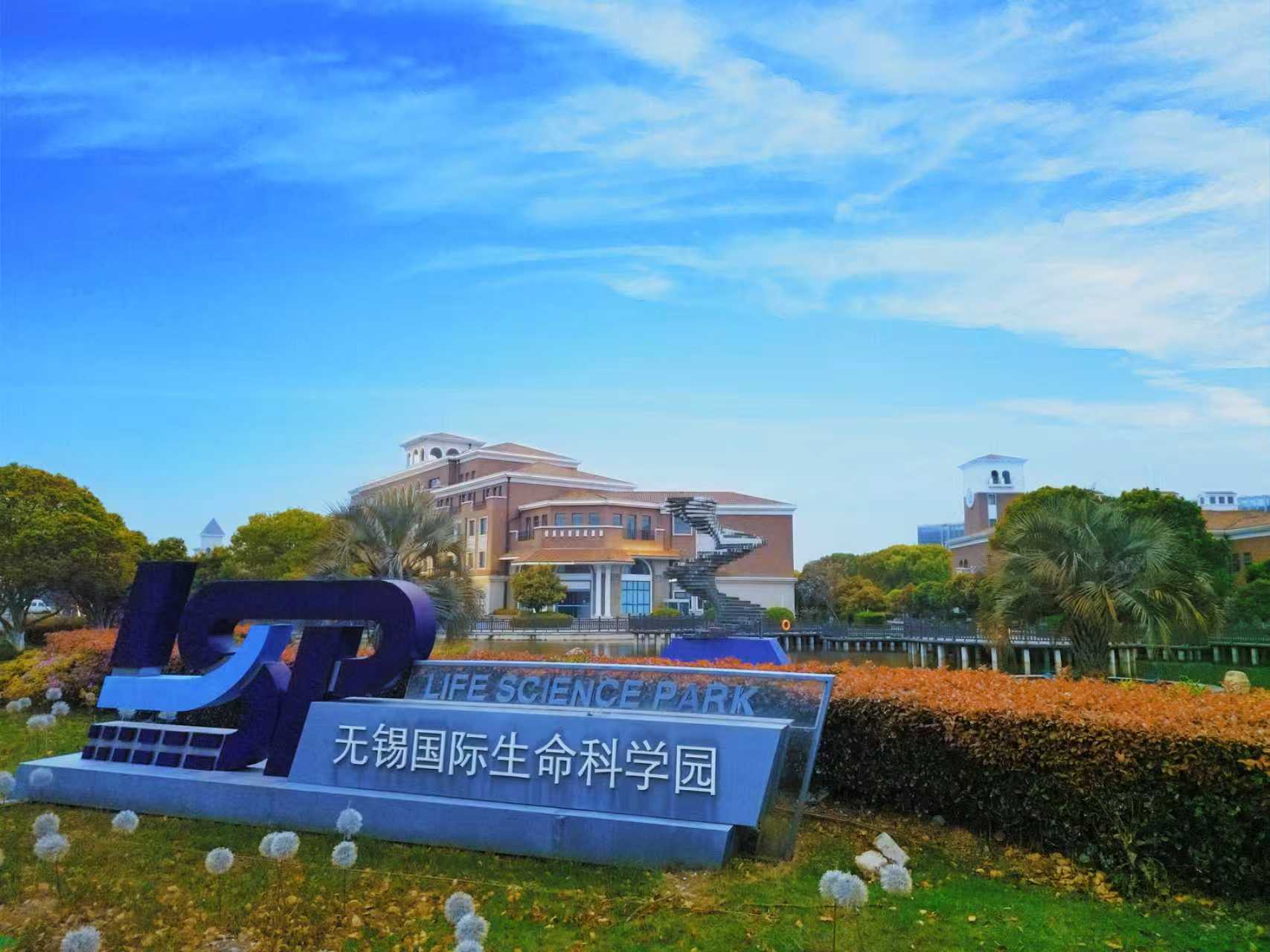 聚焦“AI+医疗”，无锡马山为何值得关注？