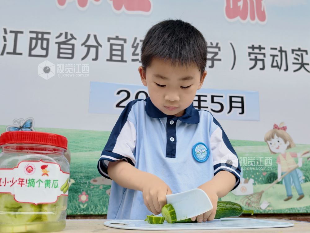 江西分宜：在田间地头赋予劳动教育新活力（图）