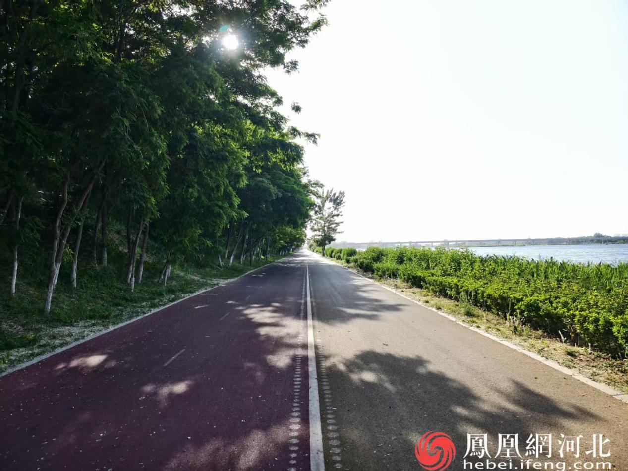 石家庄市滹沱河骑行绿道傍水而建满目青翠