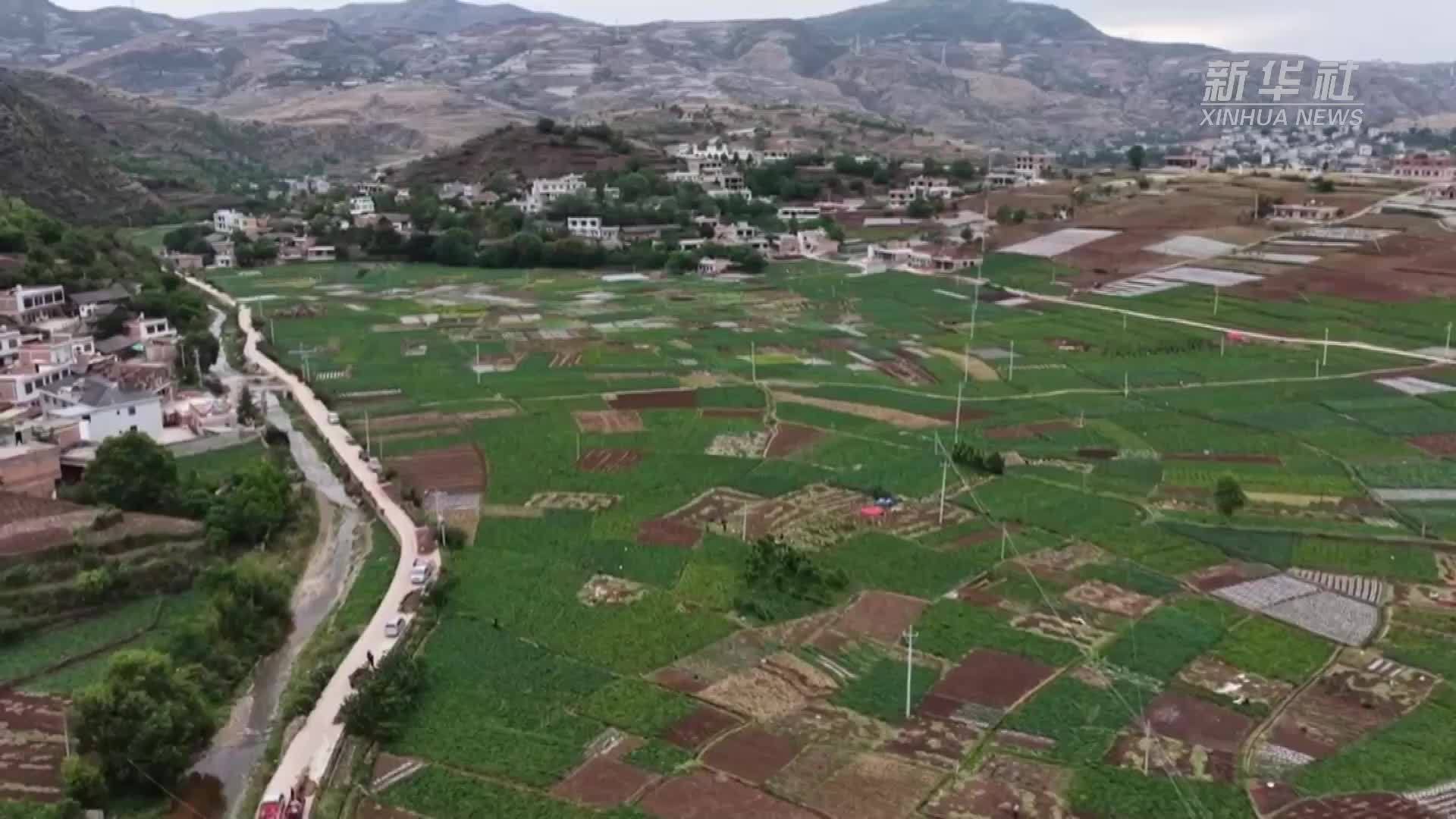 贵州威宁：特色产业绘就乡村振兴新图景