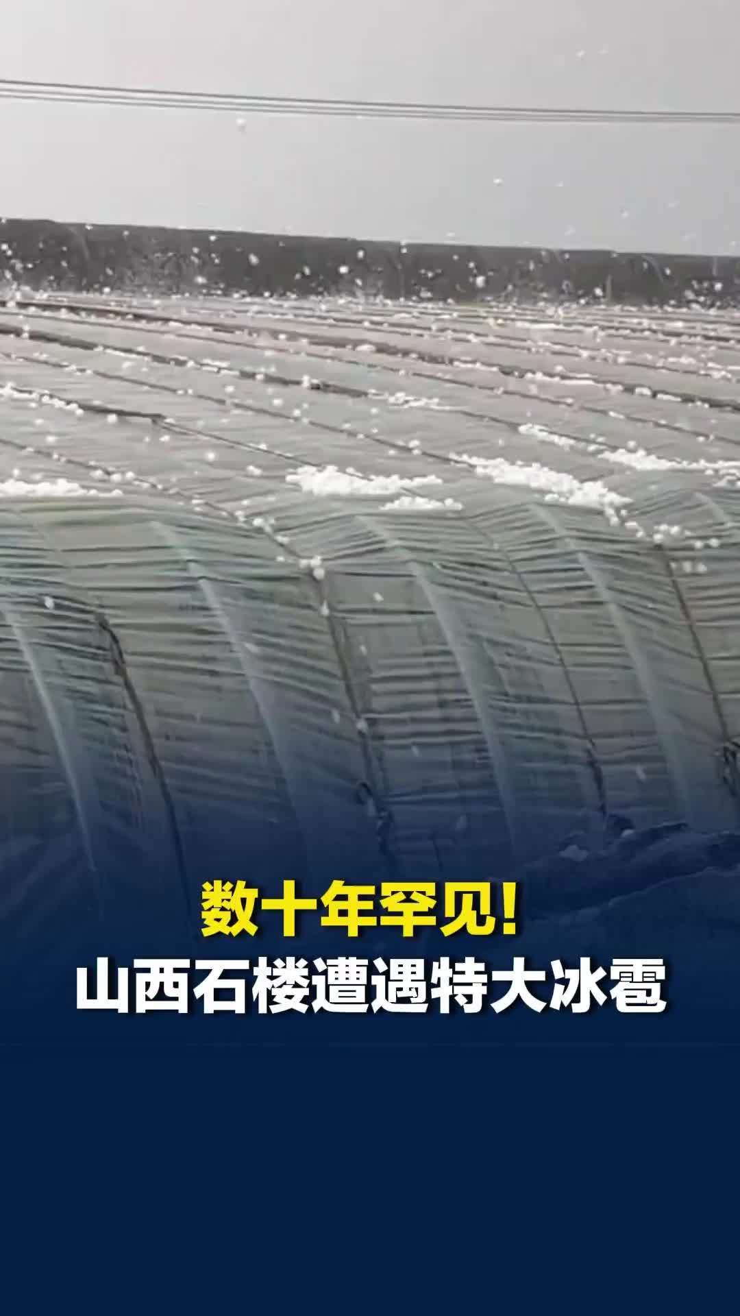 数十年罕见！山西石楼遭遇特大冰雹灾害，无人员伤亡，农业设施、农作物等严重损毁