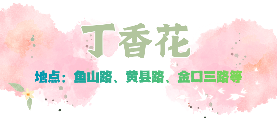 赏花季 (4).png