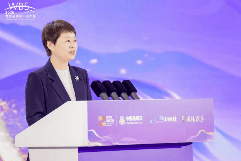 图为咸阳市委常委、宣传部部长刘莉