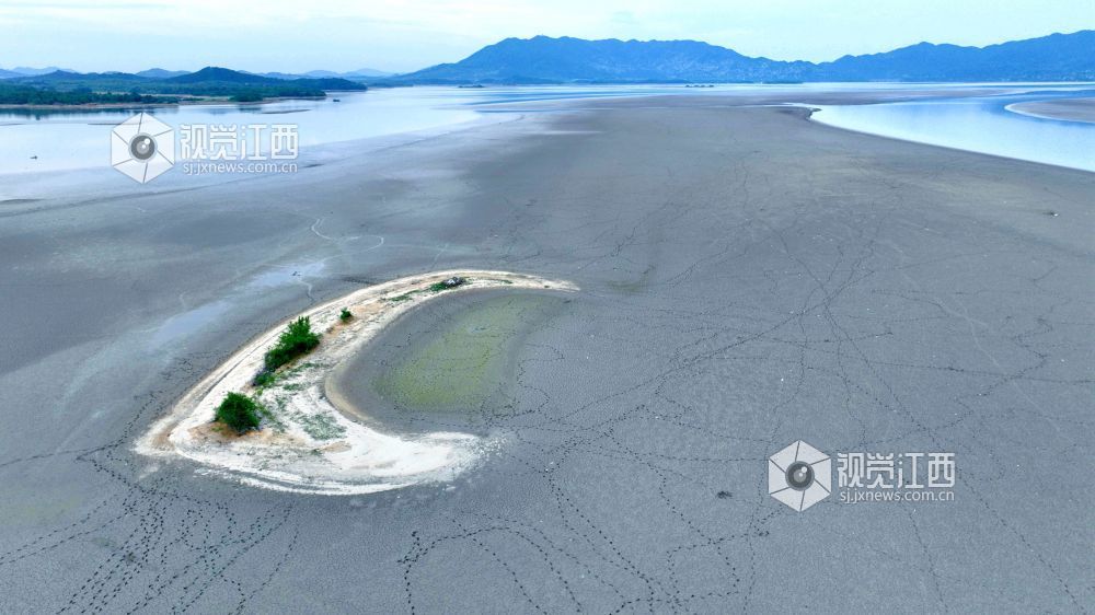 江西分宜:退水露浅滩 湖山入画来(图)