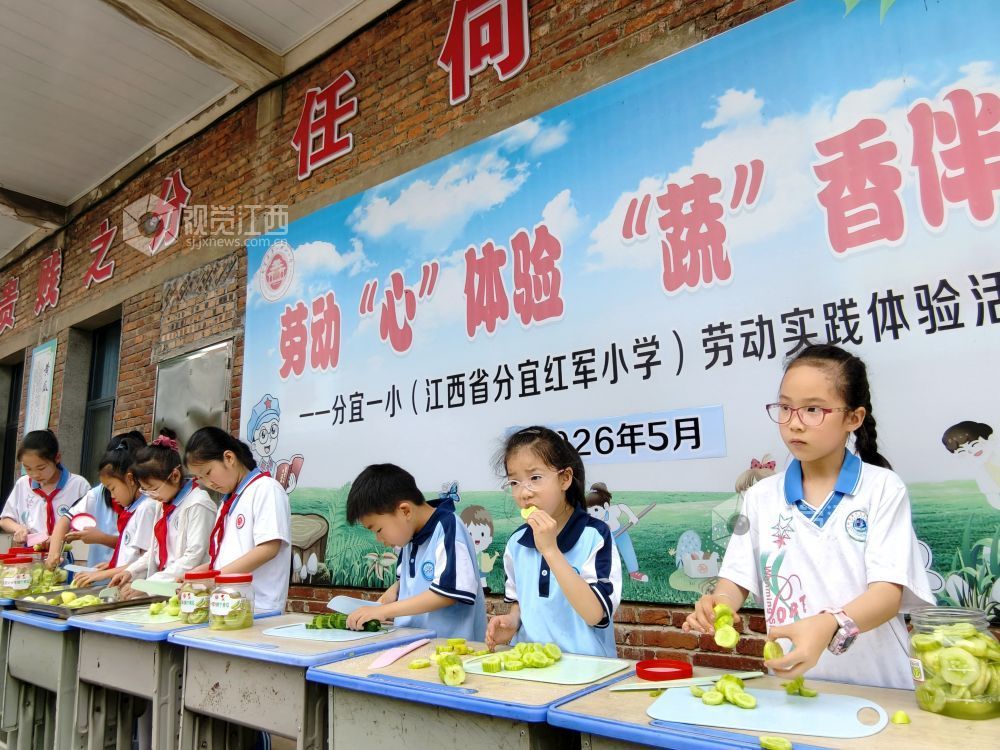 江西分宜：在田间地头赋予劳动教育新活力（图）