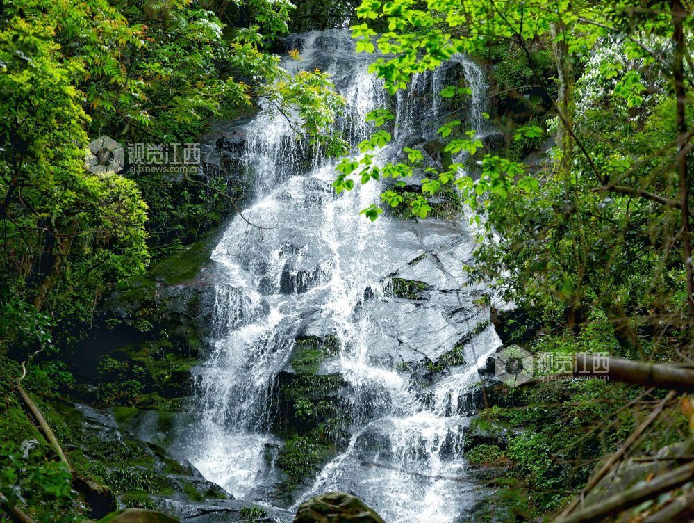 江西分宜：瀑布挂山涧 景色美如画（图）