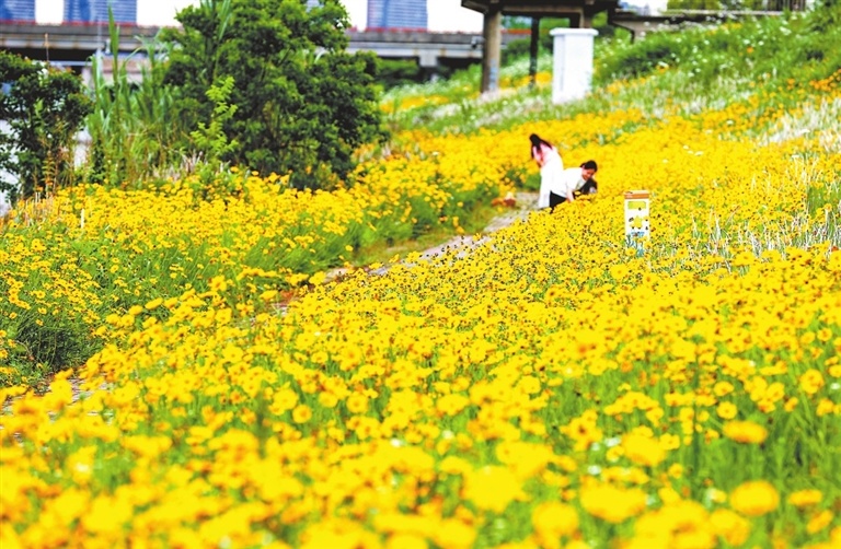 九江：邂逅初夏的一场浪漫（图）