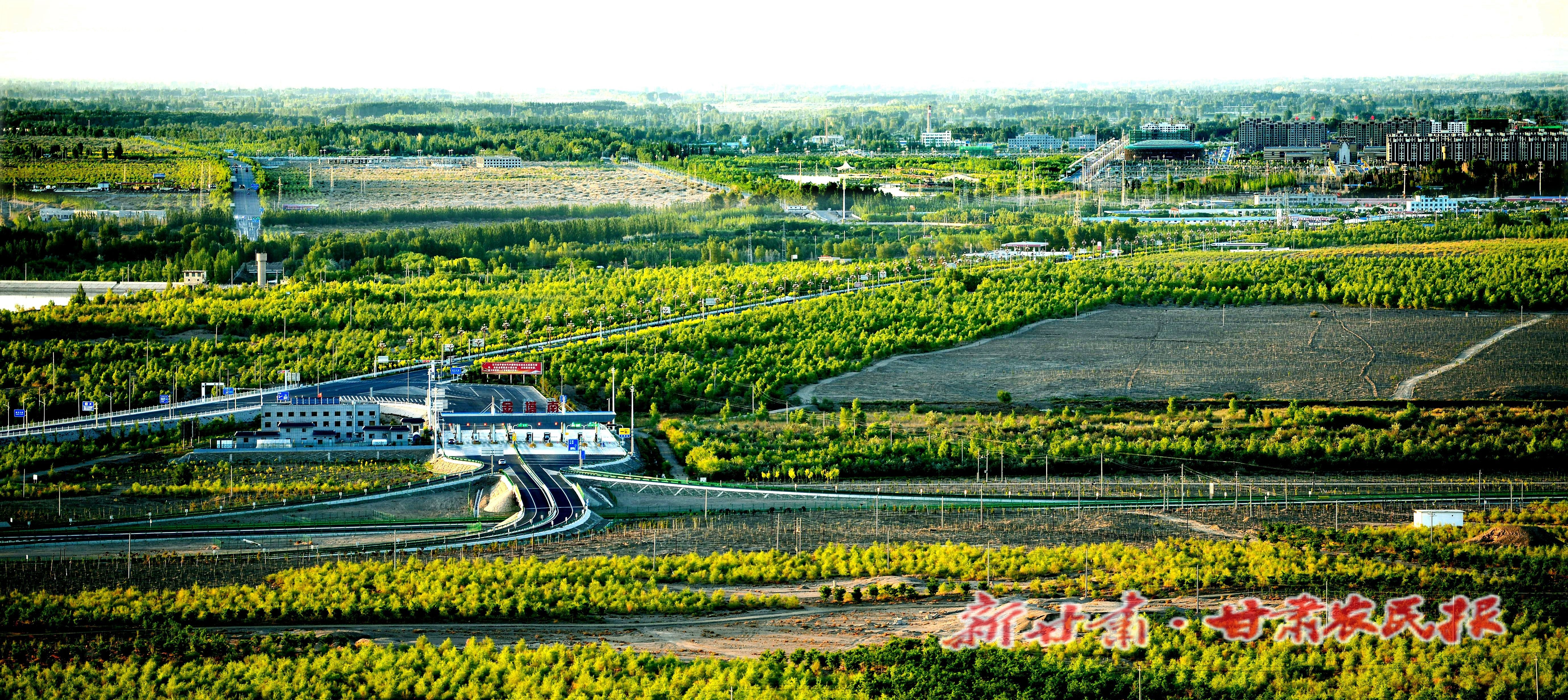 9.如今的金塔已被绿色包围