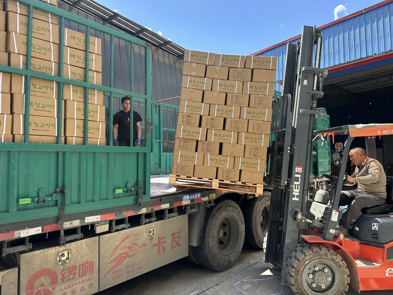 东西部协作｜一颗蕨菜的出海之旅 见证甬凉东西部产业协作累累果实