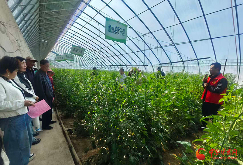 农技专家化身宣讲员面对面给农户传授实用技术