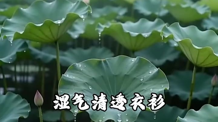 文化中国行丨听·小满